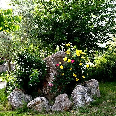 La Pietra Rosa *