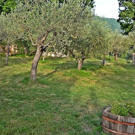 La Pietra Rosa * Assisi
