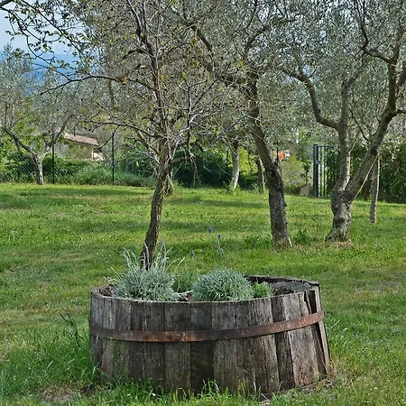 La Pietra Rosa Apartment Assisi
