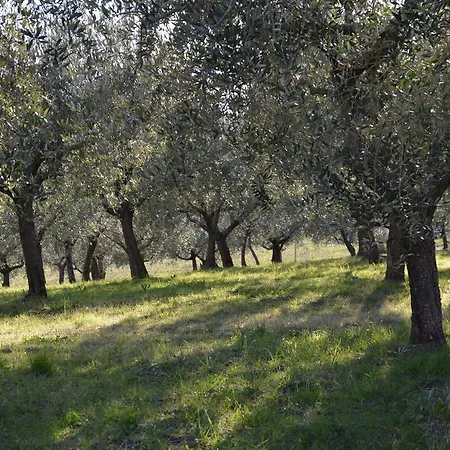 La Pietra Rosa Assisi